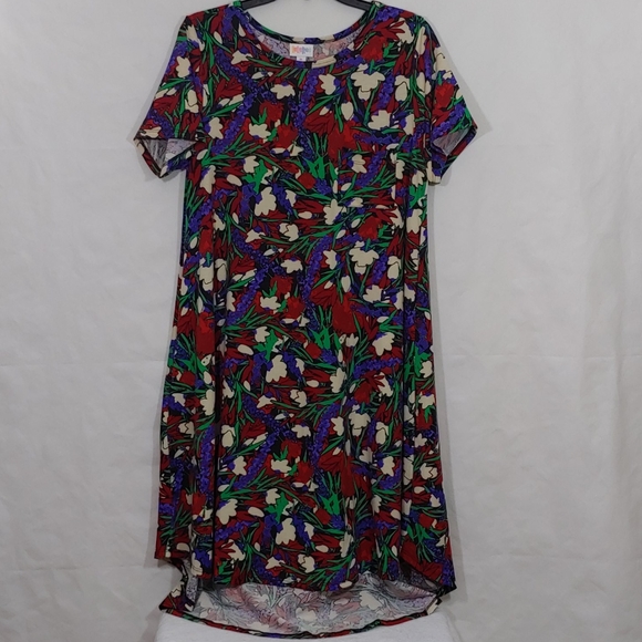 LuLaRoe Dresses & Skirts - LuLaRoe Floral Dress Soft Multi Color NWOT Size M